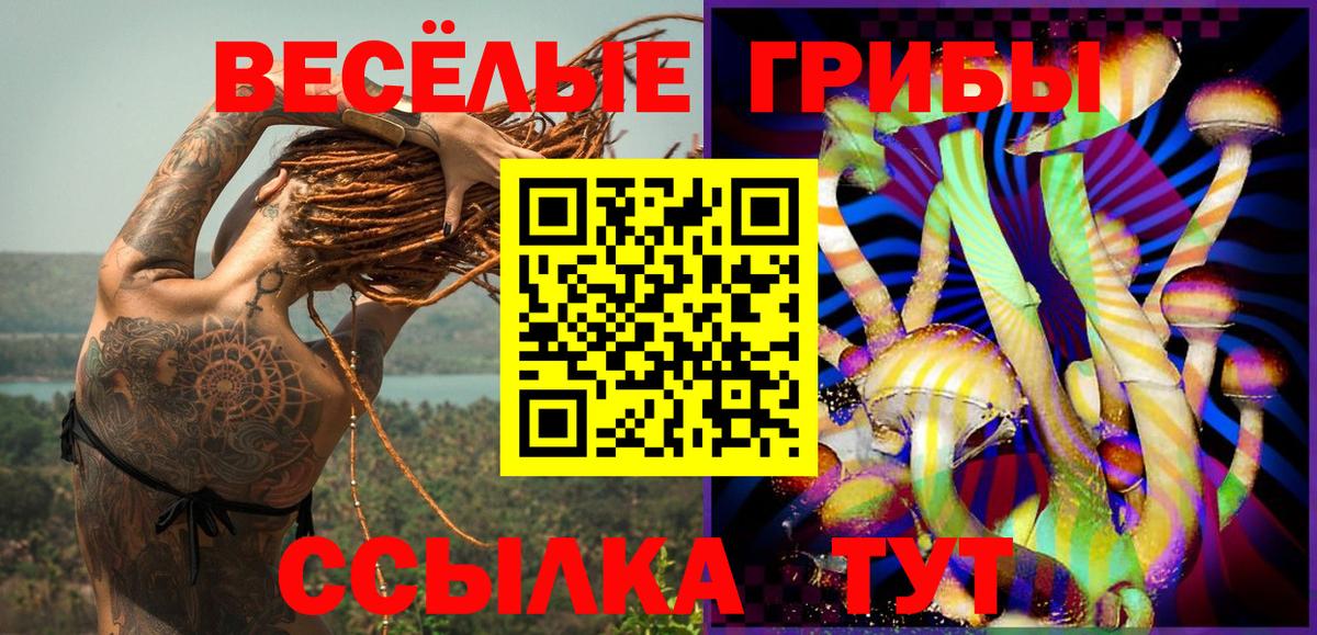 Галлюциногенные грибы мухоморы Железноводск